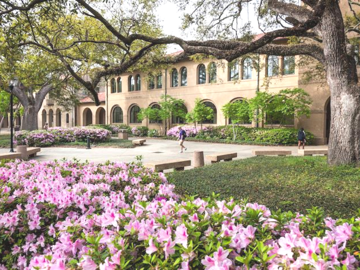 Louisiana State University