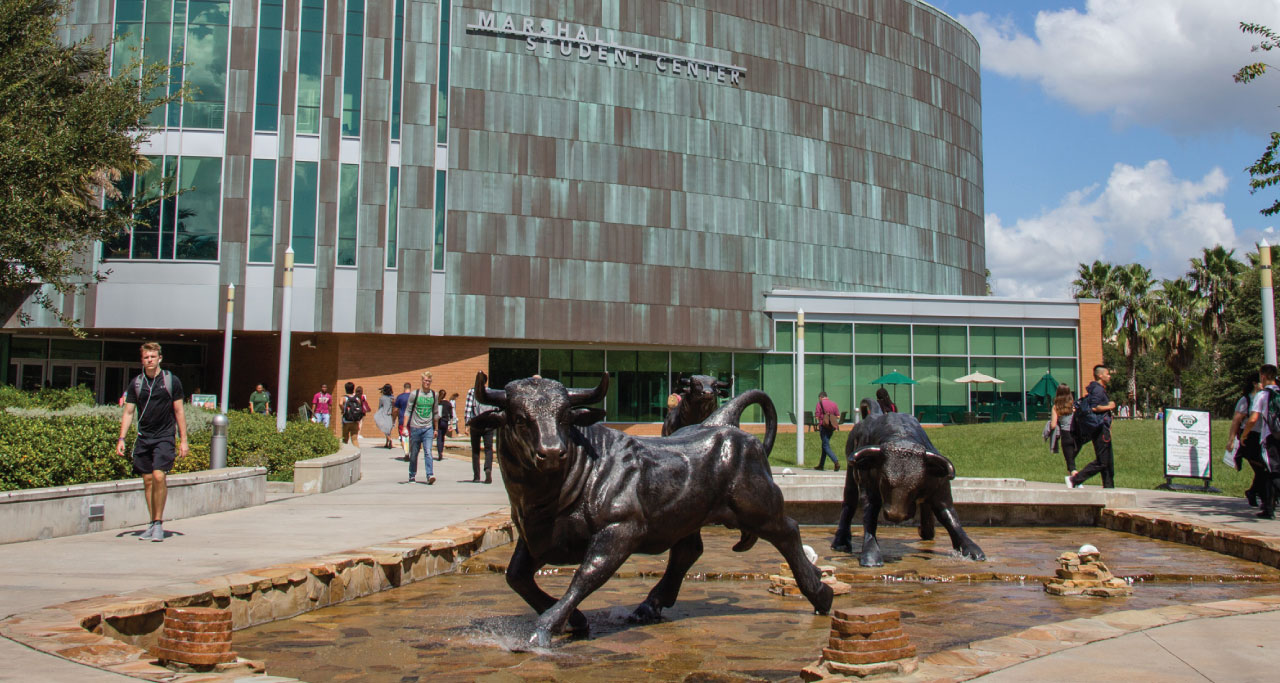 University of South Florida